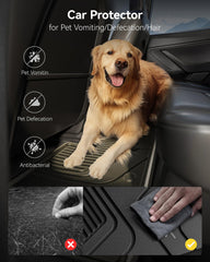 Dirt-resistant 3W mats for Honda Odyssey resist stains and wear