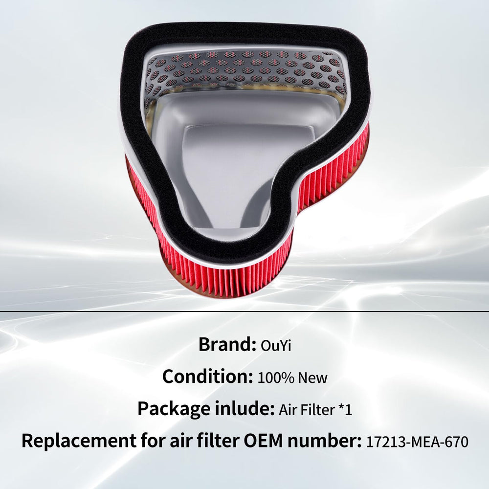 OuYi air filter for Honda VTX1300 series confirms compatibility across C, R, T, S models.
