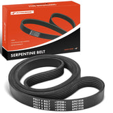 A-Premium 77-in serpentine belt close-up showing EPDM durability and rib design