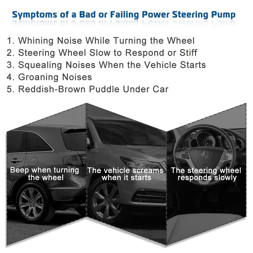 Abigail power steering pump with fitment check helps confirm compatibility.