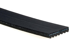 ACDelco GM OE serpentine belt 12634319 highlighting wide ribbed design for secure pulley contact.