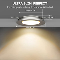 Low profile puck light designed for vibration resistance on mobile devices