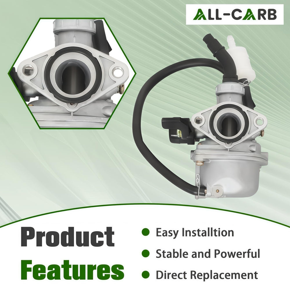 ALL-CARB PZ19 fuel filter visible in assembly for steady fuel flow