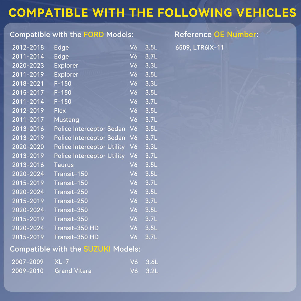 AMICAREP six-cylinder engine compatibility visual for 3.0L–3.8L engines.