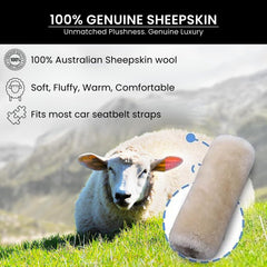Close-up of Andalus Brands merino wool pad showing soft plush texture.