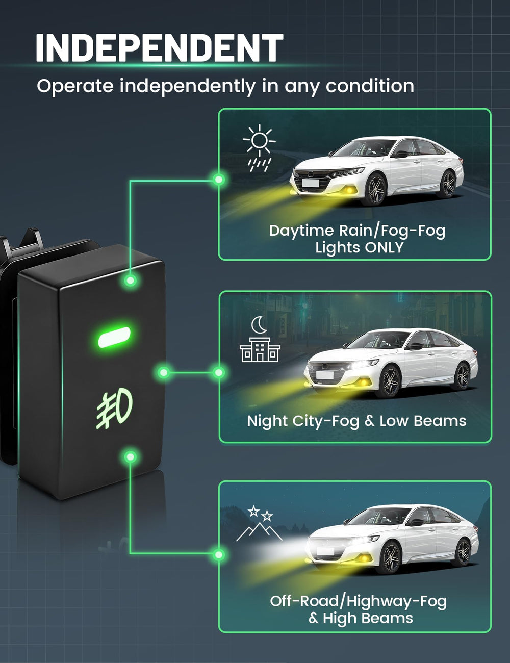 Anina 40A relay with inline fuse protects the electrical system.