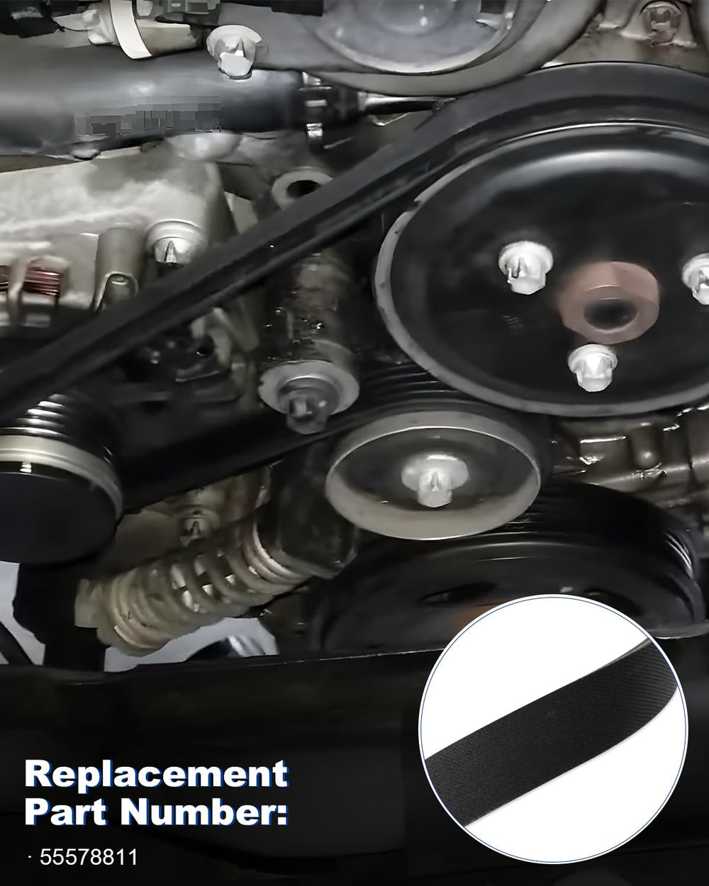 ANODZU serpentine belt compatibility with Buick GMC Cadillac line.