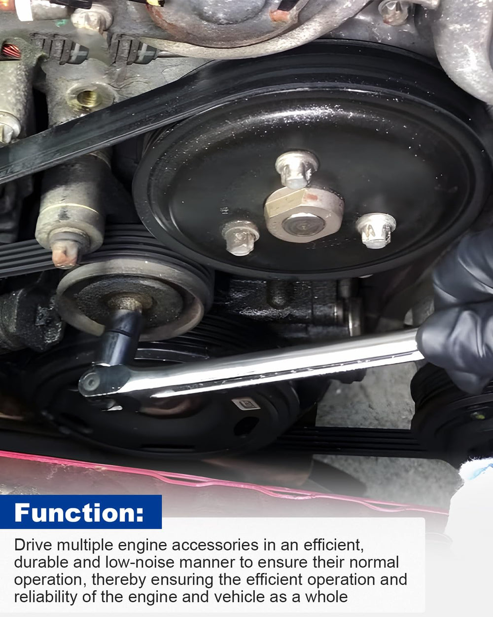 ANODZU serpentine belt installation view demonstrates direct replacement fit.