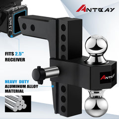 ANTbay dual-ball design with chrome pins ready for quick ball changes.