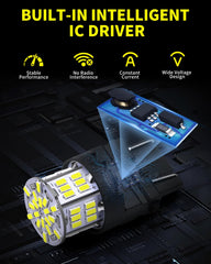 Antline LED bulbs with 360-degree illumination for comprehensive coverage.