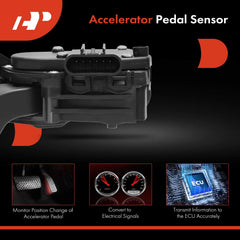 A-Premium connector closeup demonstrates durable wiring for long-lasting performance