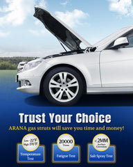 ARANA hood struts lifting-action, supports heavy hood safely during maintenance.