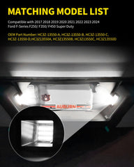 Asgohme license plate light plug-and-play install using original socket