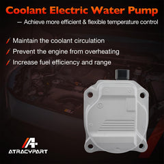 ATRACYPART pump assembly detail with seals and electrical connector