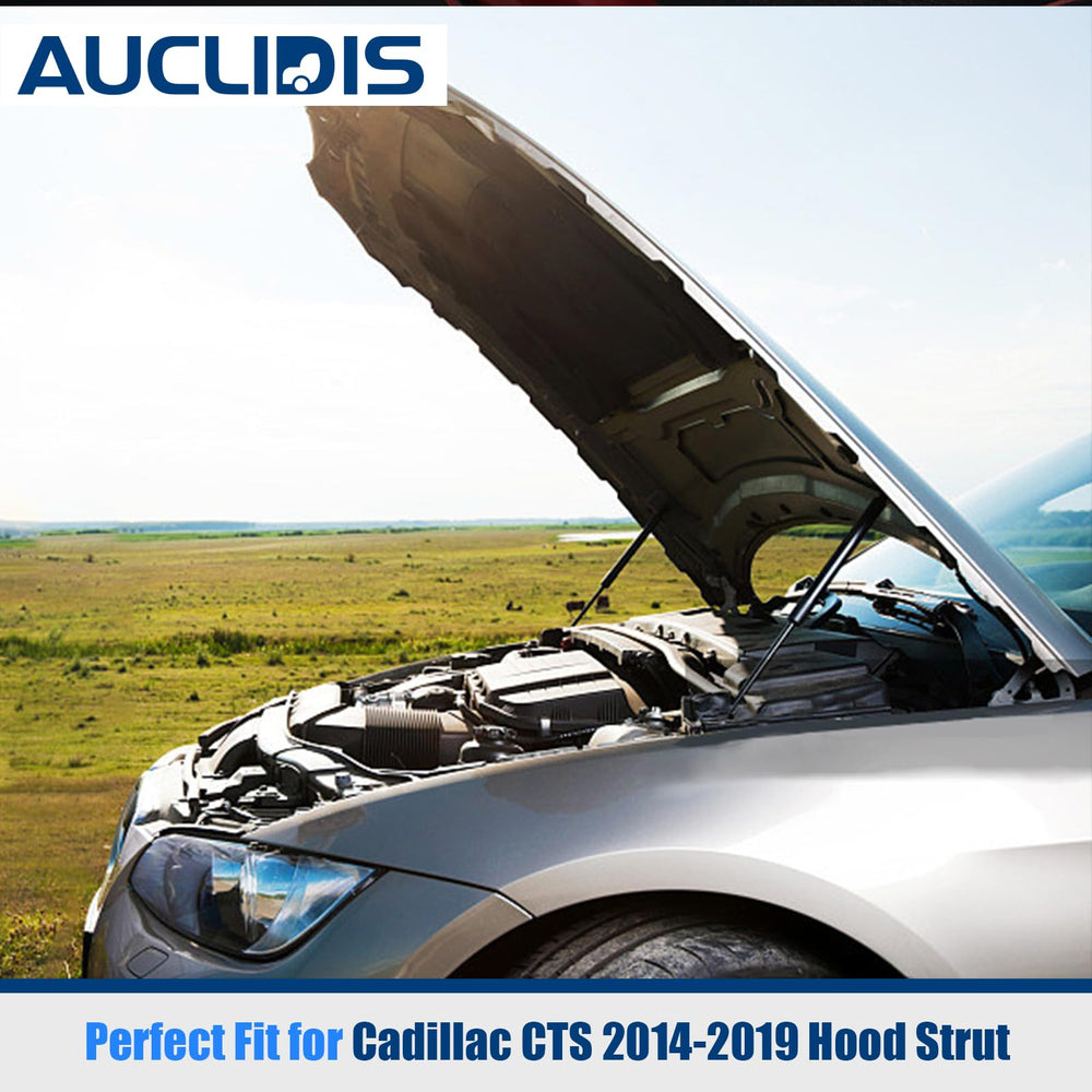 AUCLIDIS hood strut extension diagram; accurate 16.30 inch length for proper hood alignment
