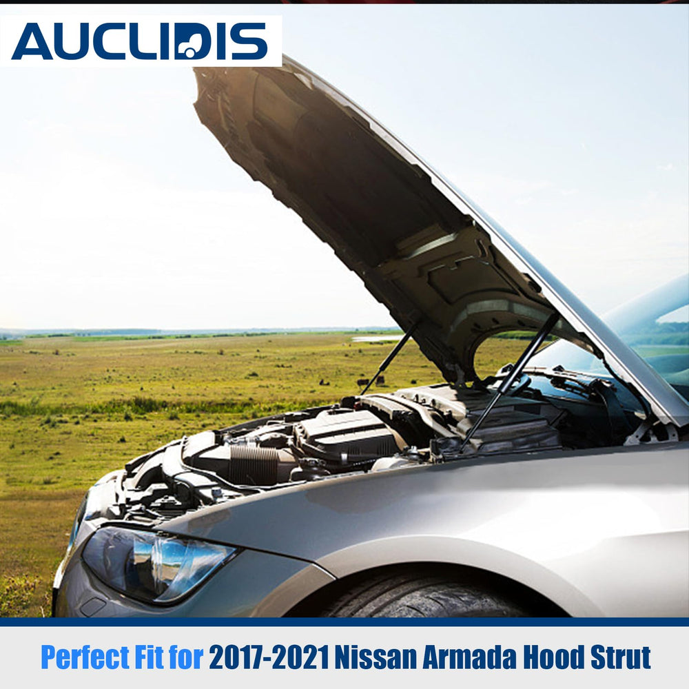 AUCLIDIS OE-interchange hood strut for Armada matches multiple OEM numbers.