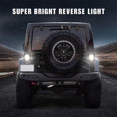 AUDEXEN two-light kit includes illustrated manual for easy setup.