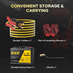 AutoChat carrying case keeps cables organized for travel.