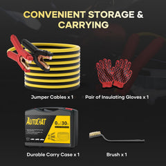 AutoChat carry case, gloves, and brushes keep accessories organized.