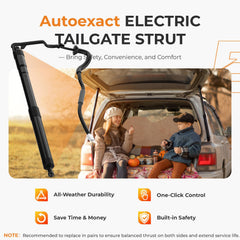 Autoexact liftgate struts in open position enabling effortless trunk access.