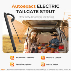 Autoexact power liftgate struts rear-hatch mount demonstrates reliable replacement hardware.