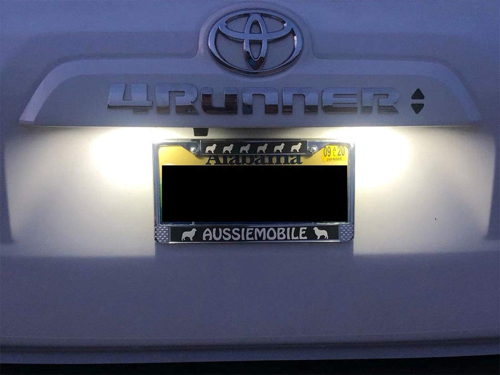 Autogine license plate lights improve night visibility