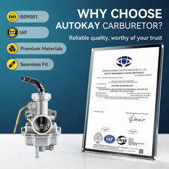 AUTOKAY PZ20 carburetor with screws and spark plug for maintenance.