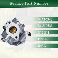 Autoparts MIA10343 compatibility with John Deere 316 318 P218G Onan engines