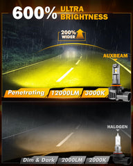 Auxbeam H10 9140/9145 beam pattern with wide, even coverage.