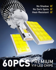 AUXITO D2S bulbs plug-and-play for quick, tool-free installation.