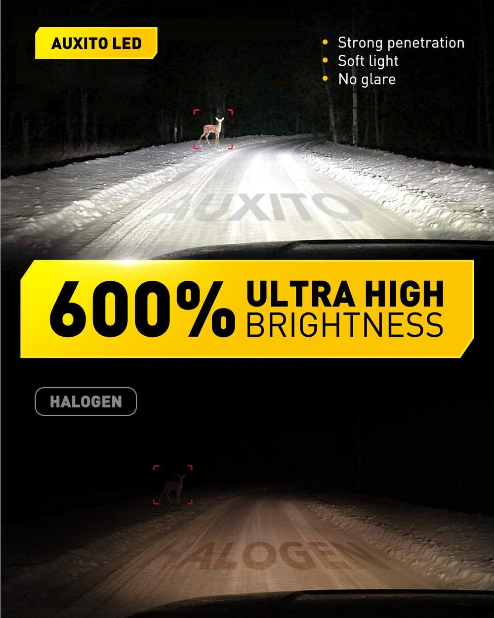 AUXITO H16 LED fog light bulb with IP68 sealing for water and dust resistance.