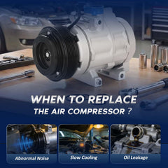 BDeli testing and quality-control scene communicates certification and reliable performance