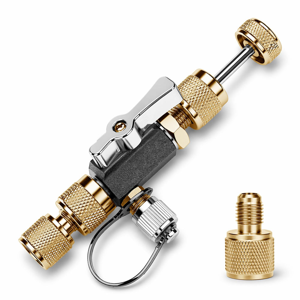 Complete Behonor valve core remover kit with accessories included