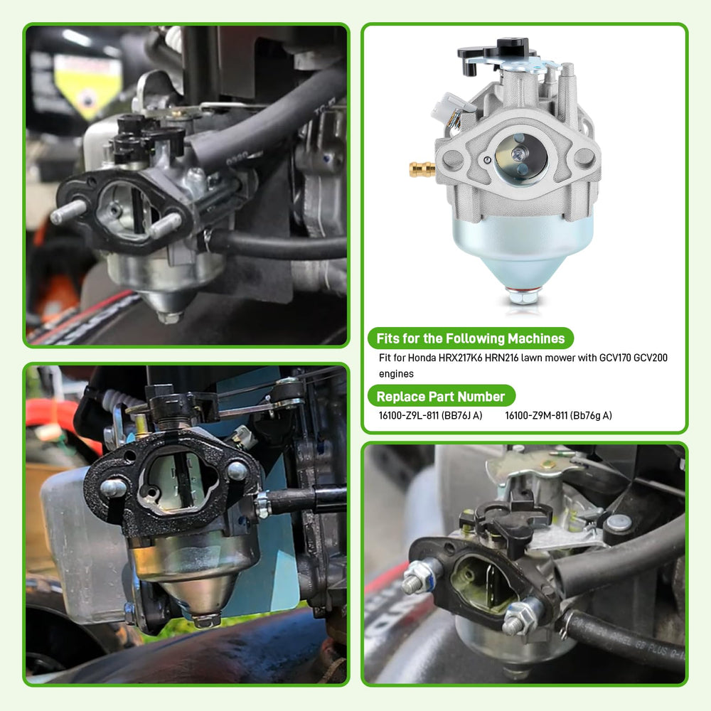 BioLion air filter with carburetor shows clean air path for smoother engine performance.
