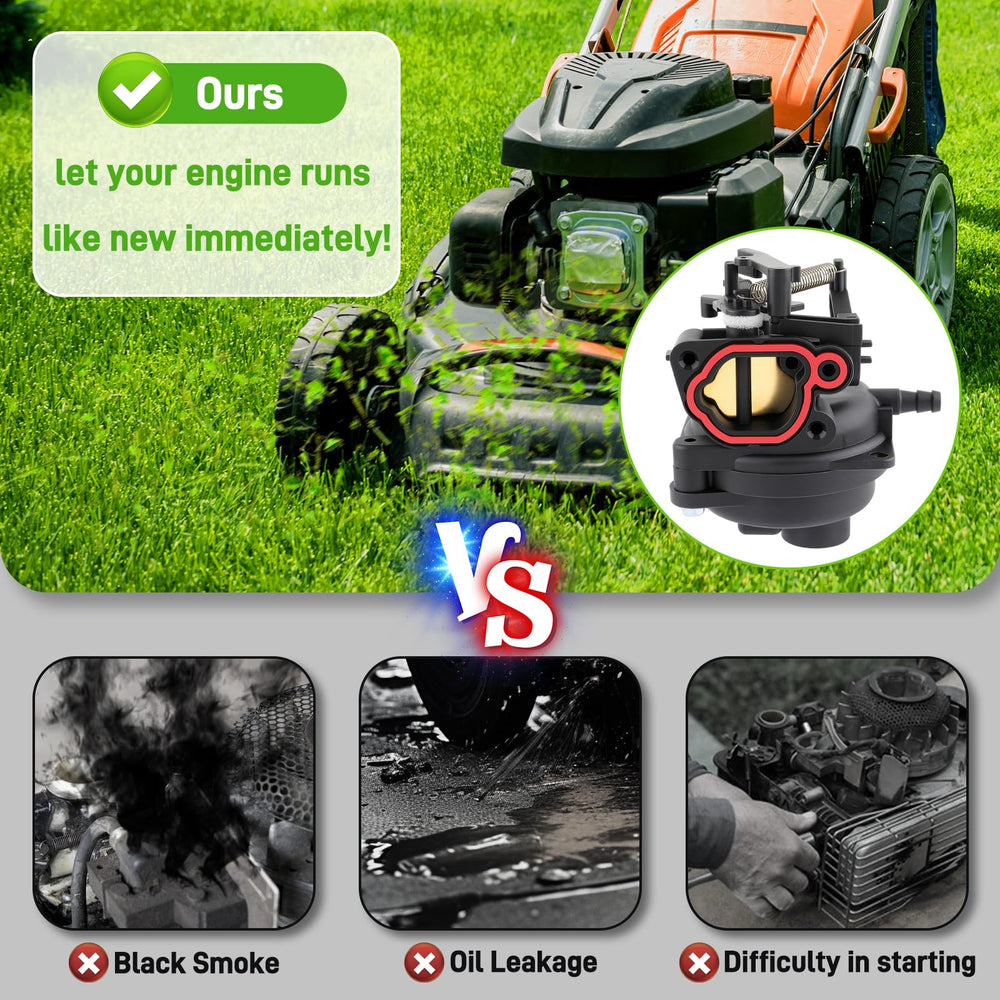 BioLion carburetor-installation view guides quick setup