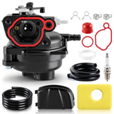 BioLion carburetor kit for 300E-550E engines improving starting reliability