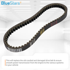 BlueStars belt close-up showing 30-degree tooth angle for smooth engagement