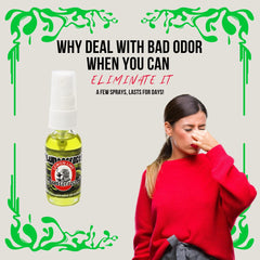 Blunteffects Blunt Effects car-interior-refresh helps remove odors on the go