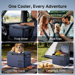 BODEGA 12V car fridge in-car use demonstrates portable, on-the-go cooling