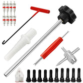 BOJIAN 23PCS tire valve kit for on-vehicle valve work.