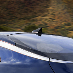 Glossy black Bracingo cover boosts vehicle aesthetics