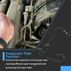 BSNOVT kit includes evaporator and purge valve hoses for easy installation.