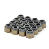 BTR LS Valve Seal Kit packaged for quick installation prep and organization.