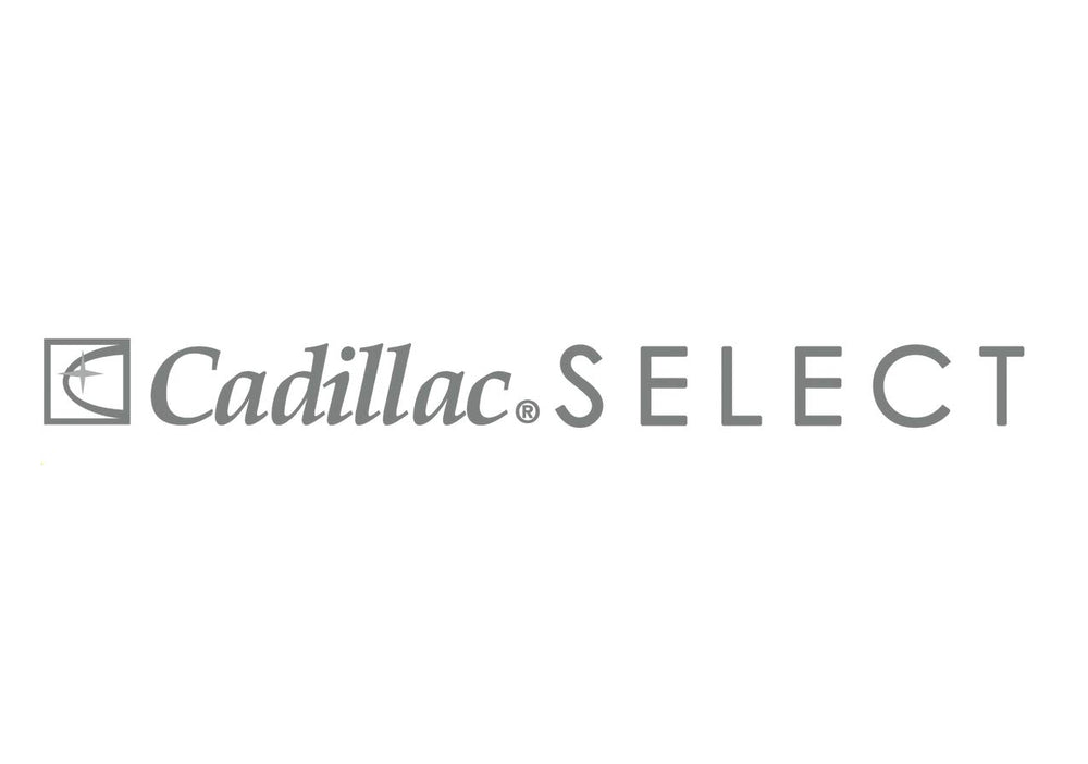 Cadillac Select Premium Leather Protector barrier revealing invisible protection against spills and stains.