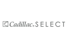 Cadillac Select Premium Leather Protector barrier revealing invisible protection against spills and stains.
