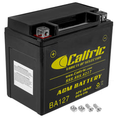 Caltric AGM battery front view for Honda TRX 250 Recon power