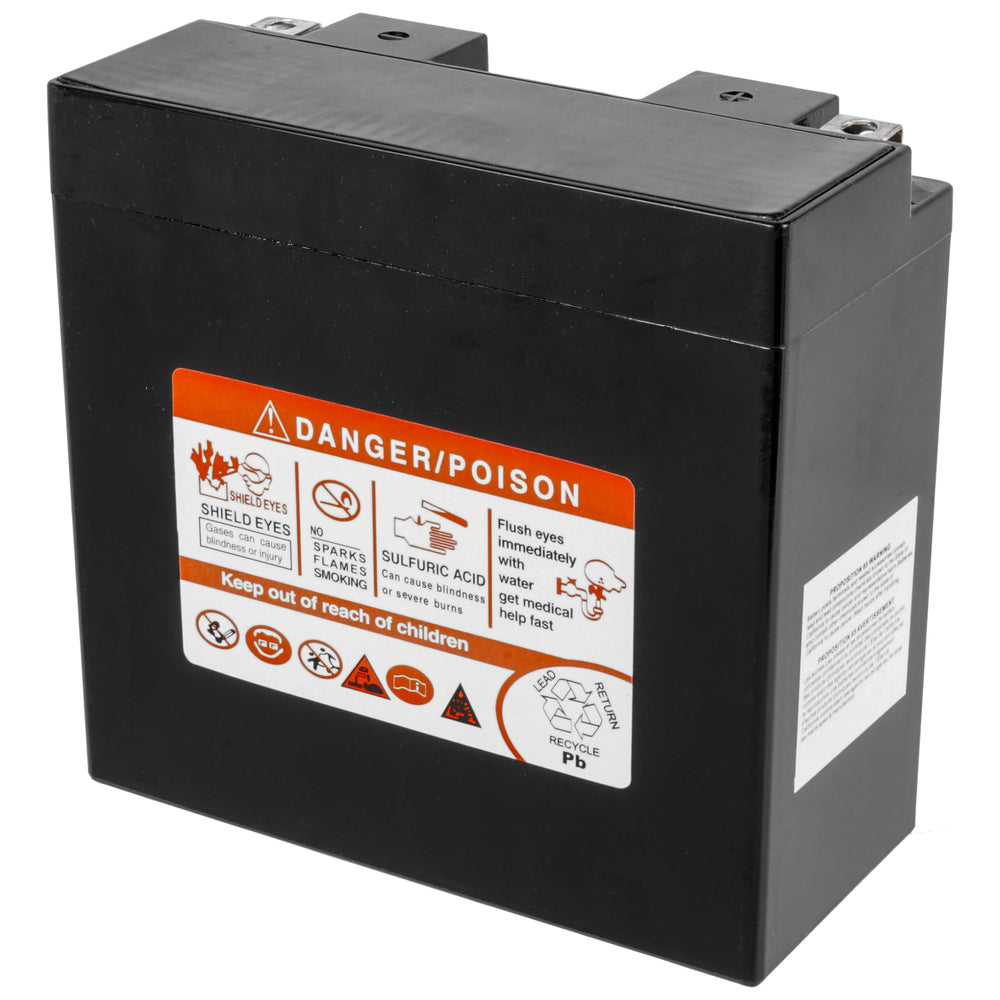 Caltric AGM battery label closeup emphasizes product origin and maintenance-free design.