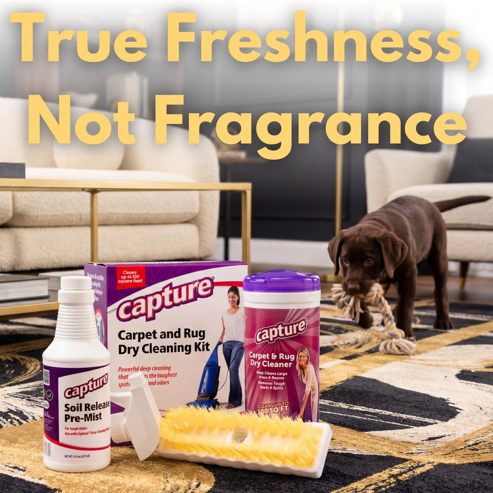 Capture Carpet Total Care Kit 100 dry cleaner action highlights quick, up-to-100-sq-ft cleaning.