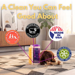 Capture Carpet Total Care Kit 100 stain removal tackles tough stains without steam.