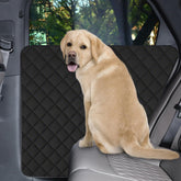CarChic dog door protector installation shows fast, tool-free setup for any car door.